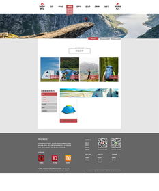 网页设计作品 从视觉创意到用户体验的完美融合